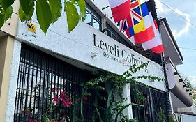 Leveli Coliving